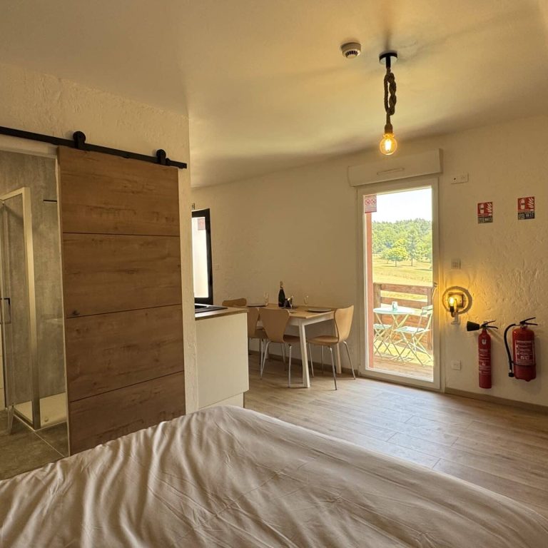 Appartement Girafe (5)