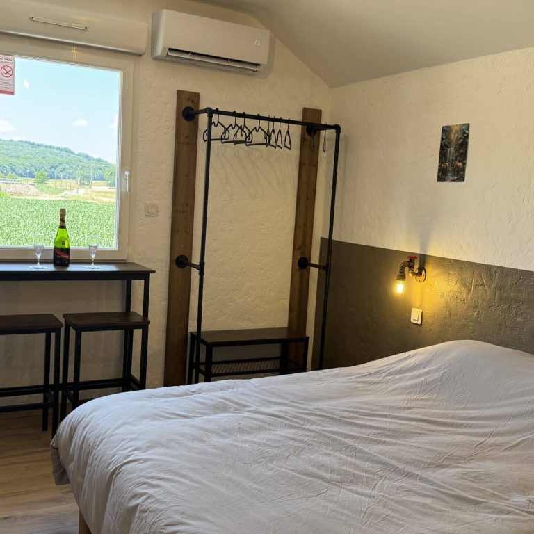 Chambre Elephant (6)