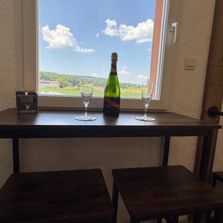 Chambre Elephant (9)