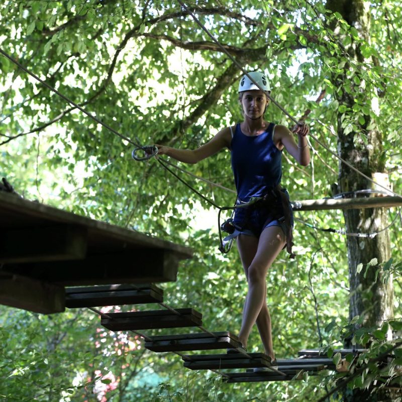 le-parc-acroland-a-montenois-propose-desormais-deux-parcours-verts-deux-bleus-et-deux-rouges-photo-er-lionel-vadam-1565638433 le-parc-acroland-a-montenois-propose-desormais-deux-parcours-verts-deux-bleus-et-deux-rouges-photo-er-lionel-vadam-1565638433